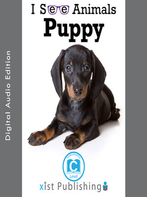 cover image of Puppy